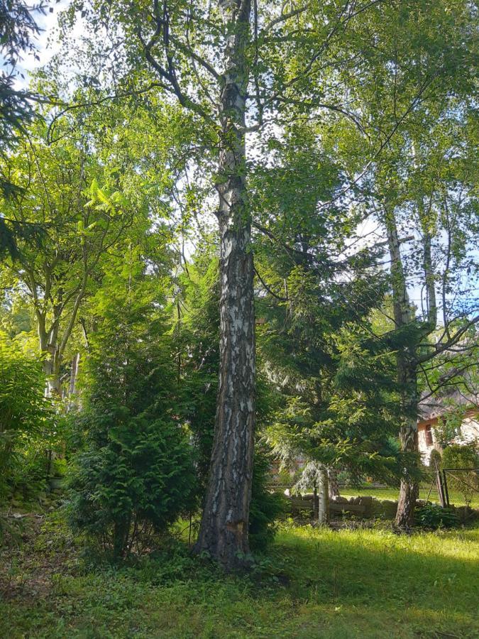 Eldorado - Do Wynajęcia Całoroczny Wakacyjny 35 Km Od Krakowa Dom wakacyjny Stroza (Myslenice)