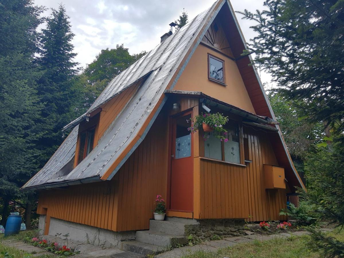 Holiday home Eldorado - Caloroczny Wakacyjny 35 Km Od Krakowa *