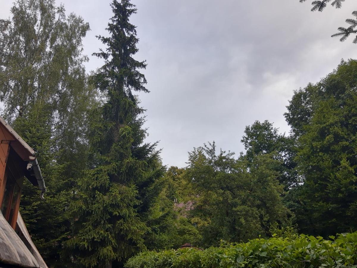 Eldorado - Do Wynajęcia Całoroczny Wakacyjny 35 Km Od Krakowa *