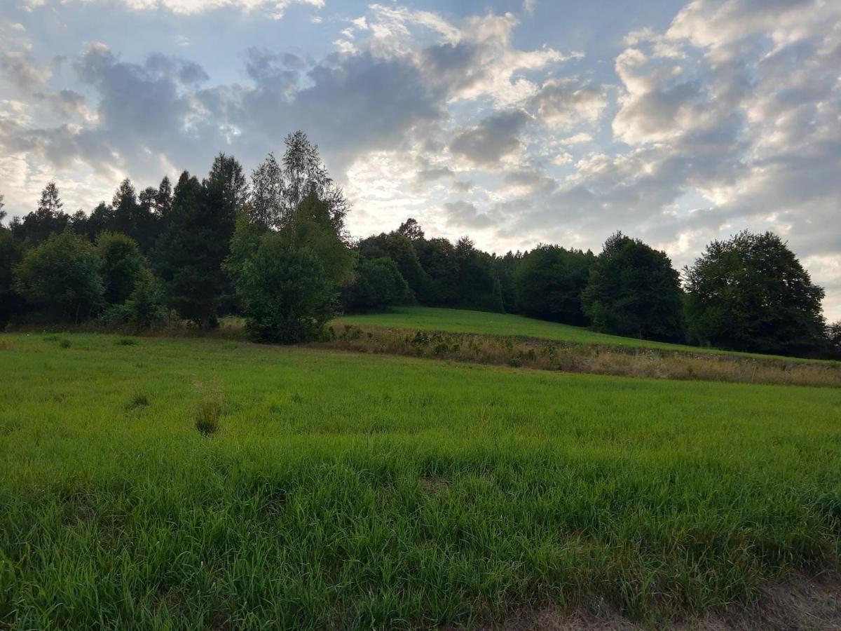 Dom wakacyjny Eldorado - Do Wynajęcia Całoroczny Wakacyjny 35 Km Od Krakowa *