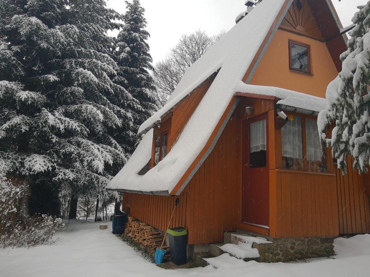 Dom wakacyjny Eldorado - Do Wynajęcia Całoroczny Wakacyjny 35 Km Od Krakowa