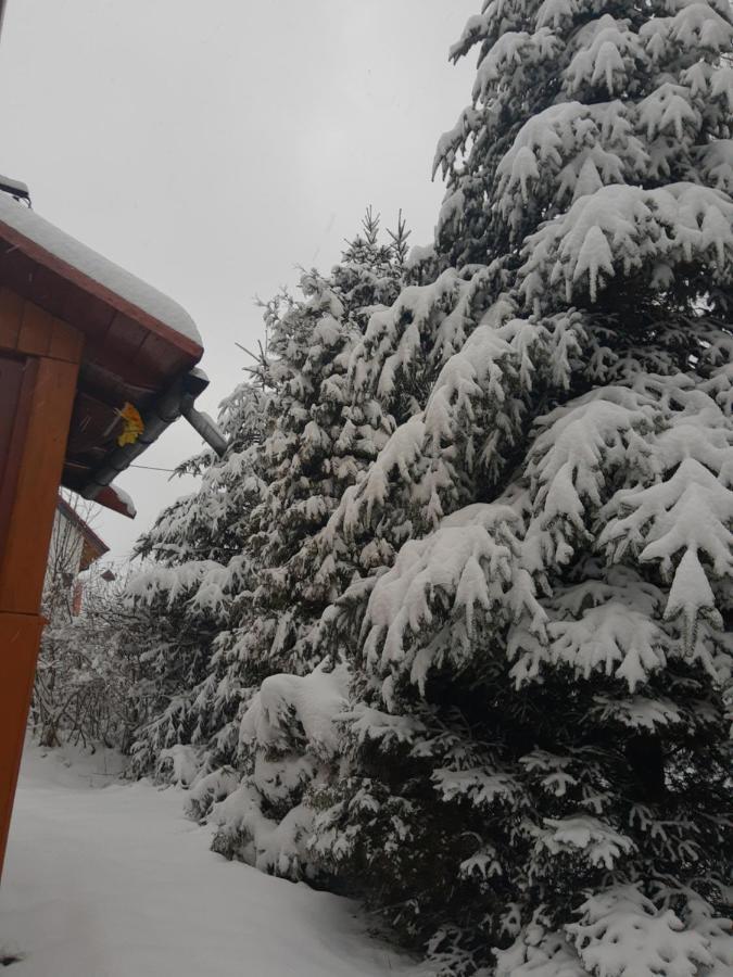 Dom wakacyjny Eldorado - Do Wynajęcia Całoroczny Wakacyjny 35 Km Od Krakowa *