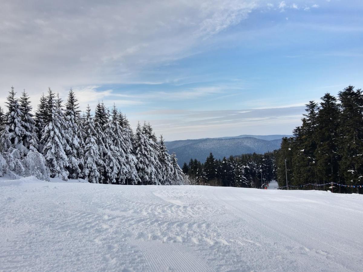 Dom wakacyjny Eldorado - Do Wynajęcia Całoroczny Wakacyjny 35 Km Od Krakowa Stroza (Myslenice)