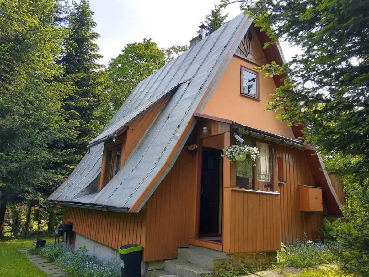 Eldorado - Caloroczny Wakacyjny 35 Km Od Krakowa *